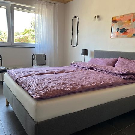 Apartment 100 Qm Im Weindorf - Balkon/Garage Aspisheim Exteriér fotografie