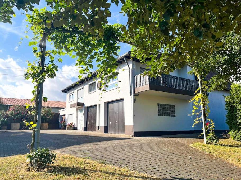 Apartment 100 Qm Im Weindorf - Balkon/Garage Aspisheim Exteriér fotografie